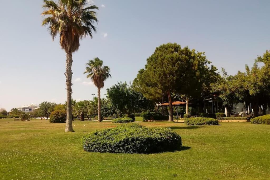 Lovely 1-Bedroom 2 Minutes From Beach Афины Экстерьер фото